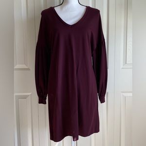 Express Balloon Sleeve Shift Dress NWT Burgundy Eggplant Knee Length Size Small